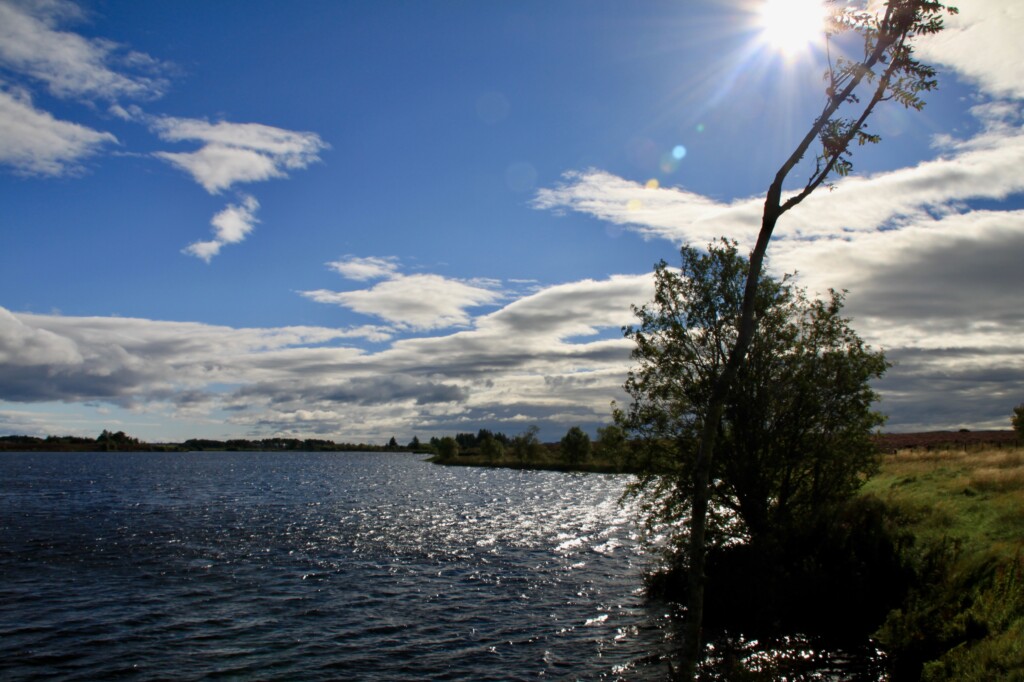Fannyside Lochs