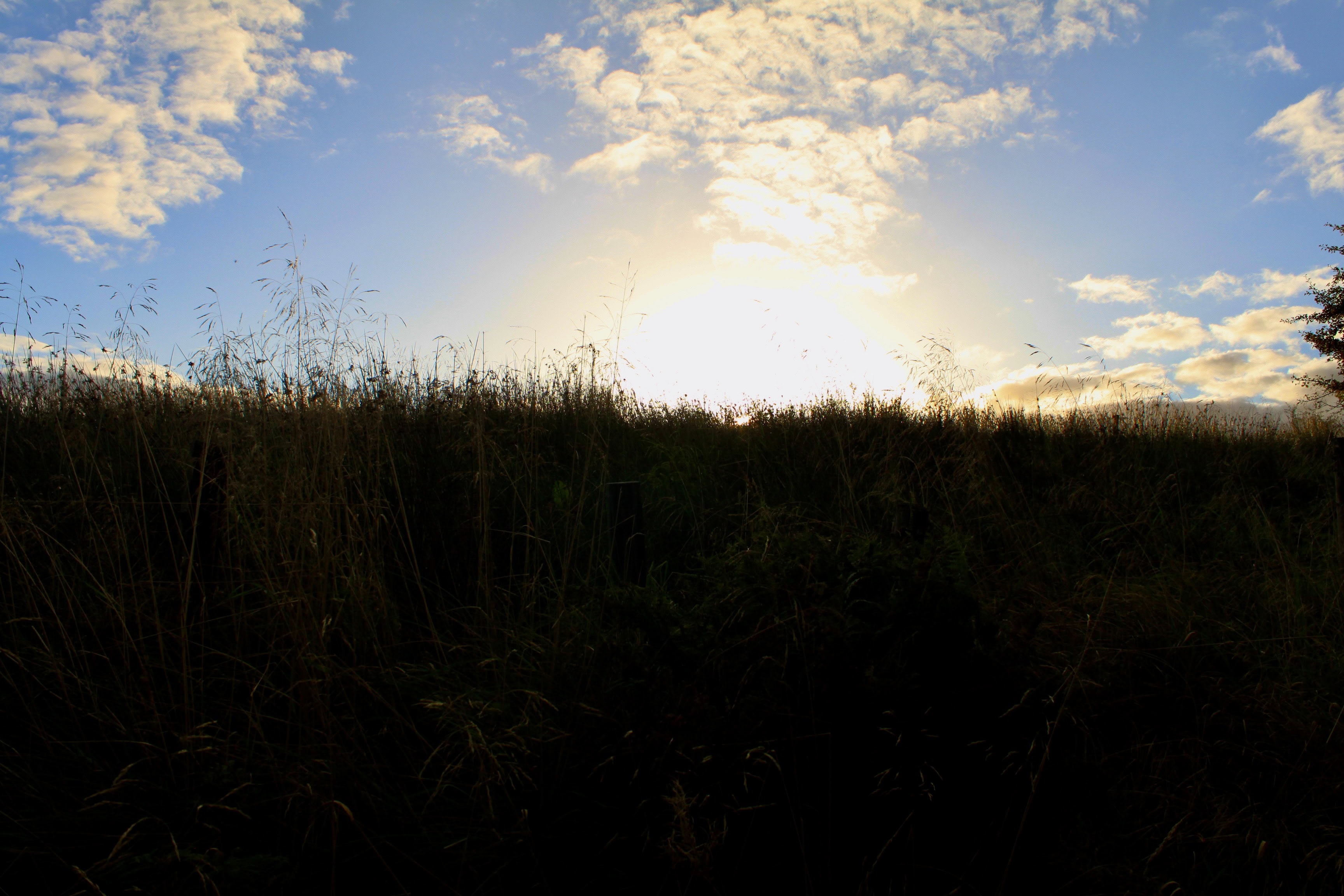 Silent Sunday Sep 20