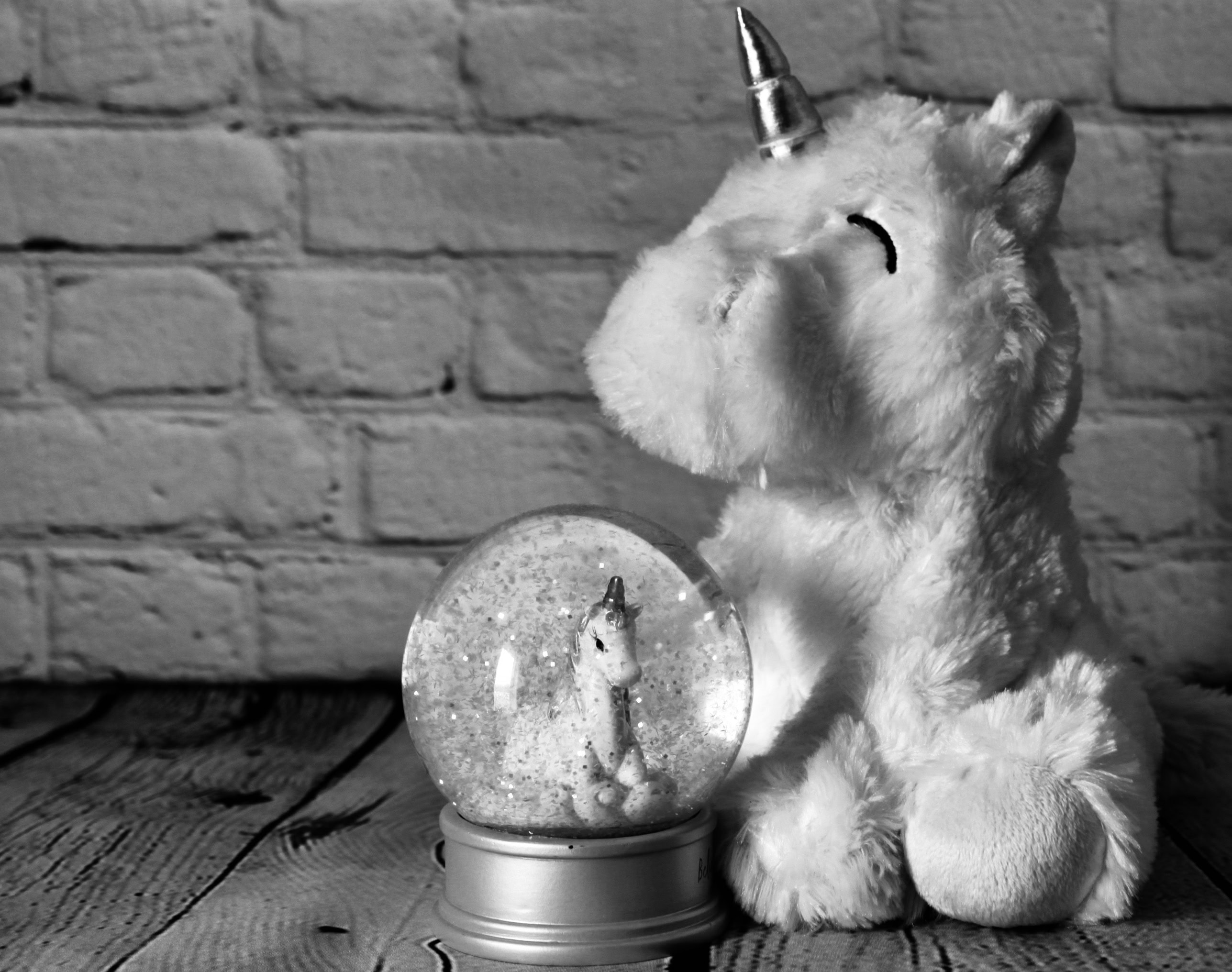 Unicorns — Cees Black and White Photo Challenge
