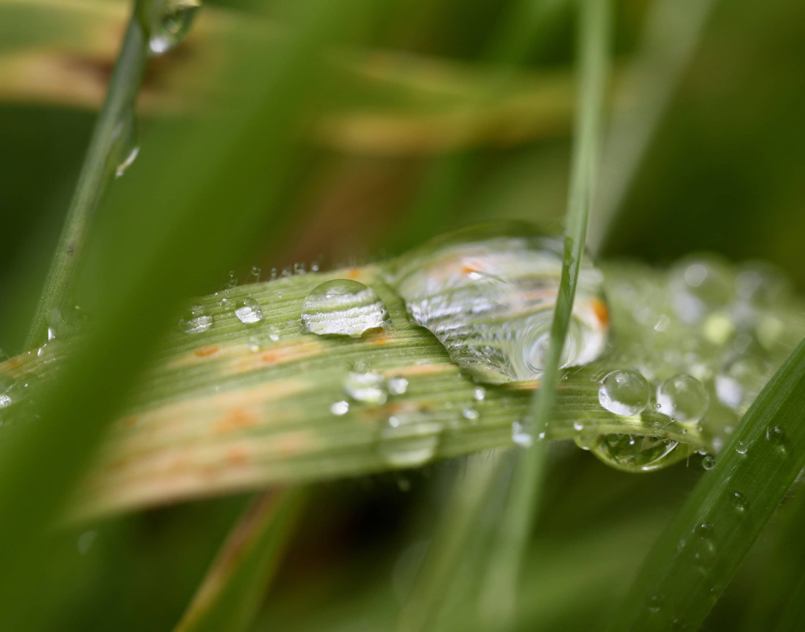 Raindrops #68 Oct 10