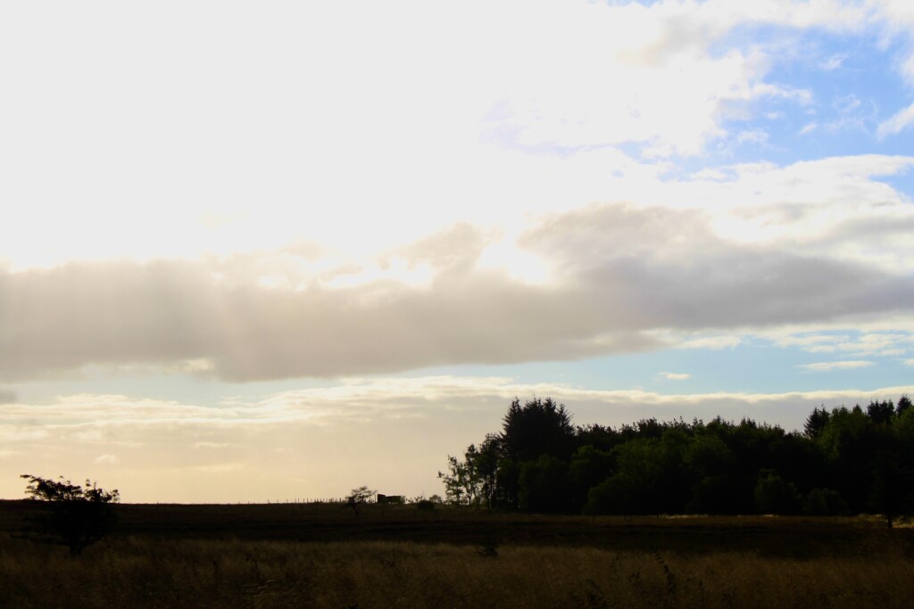 Palacerigg Country Park