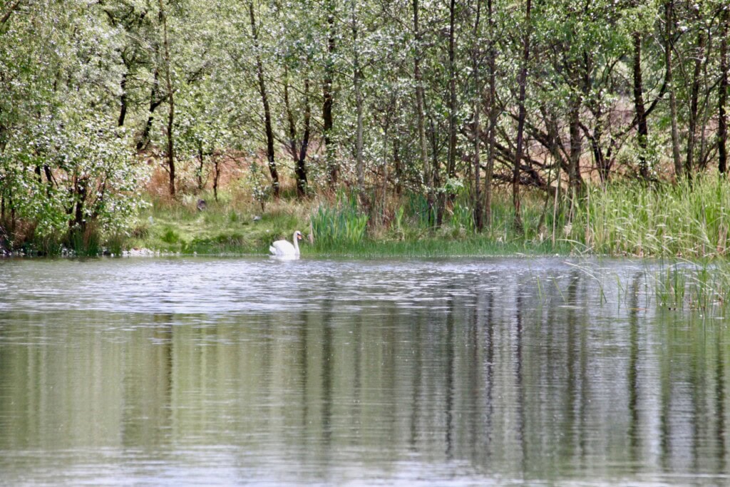 Broadwood Loch