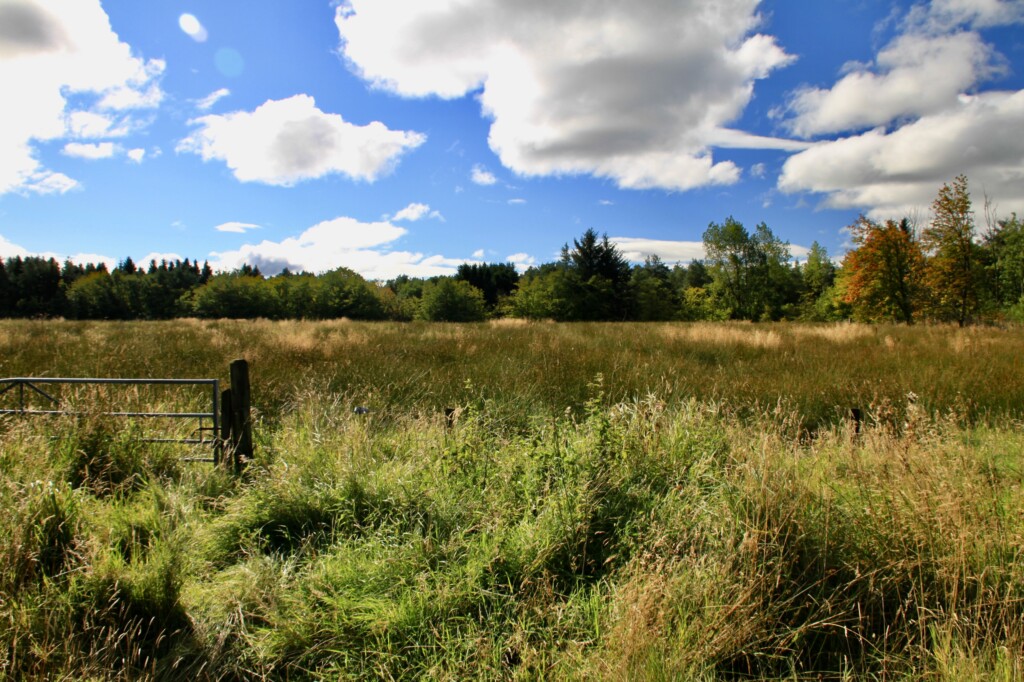 Palacerigg Country Park