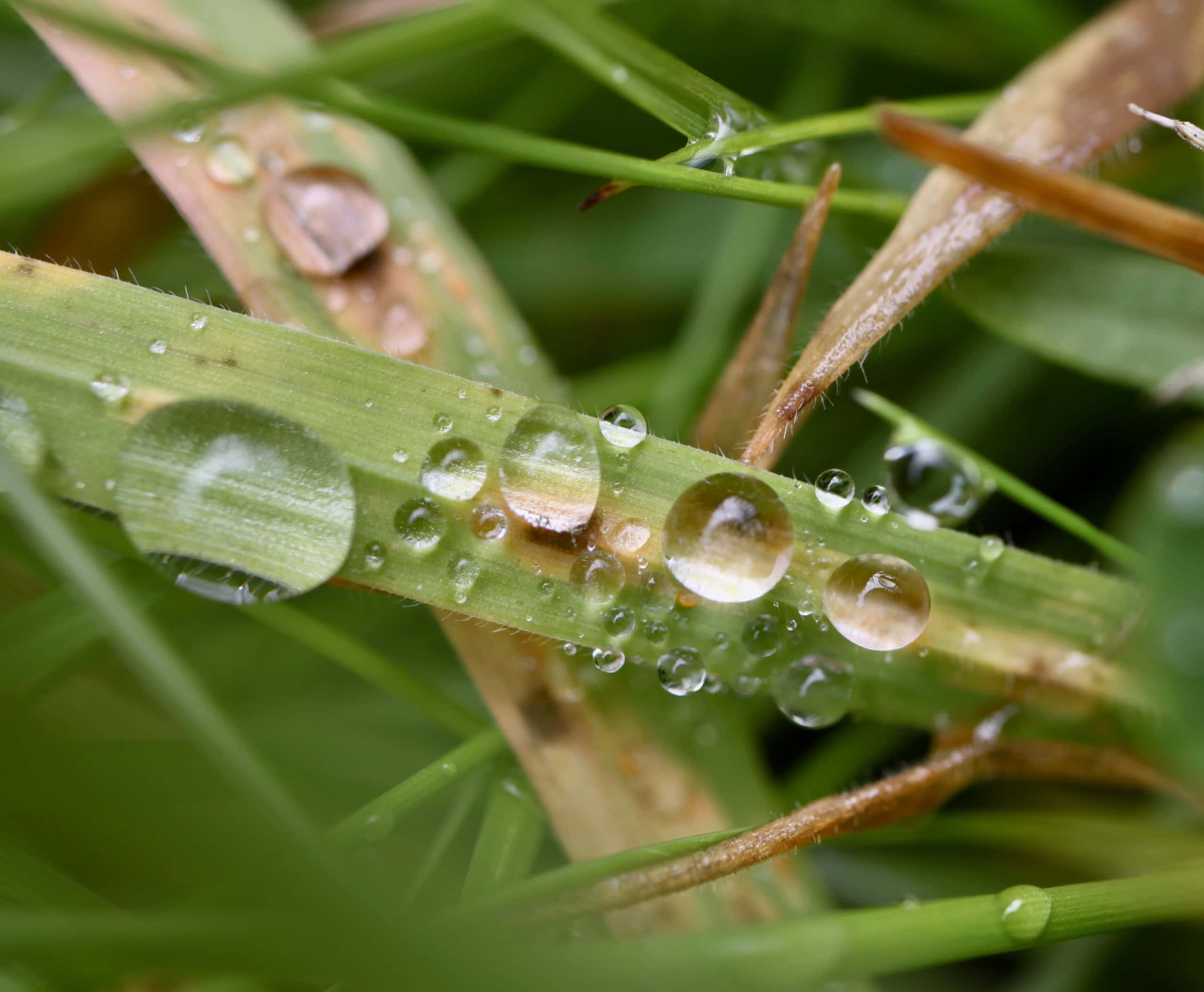 Raindrops #69 Oct 11