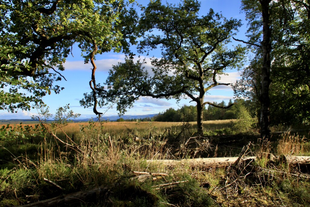 Palacerigg Country Park