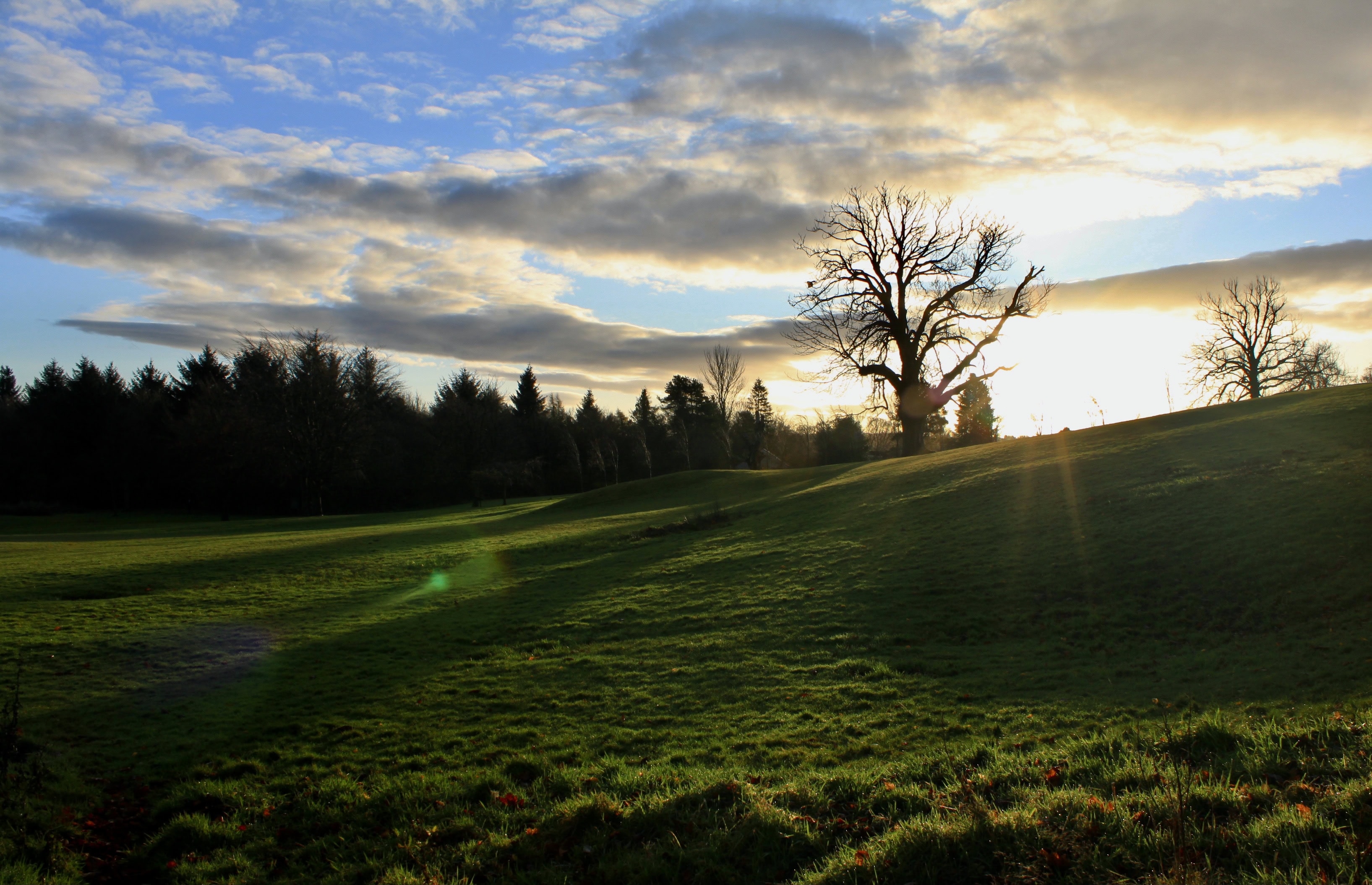 Low Autumn Sun — Fan Of… #87