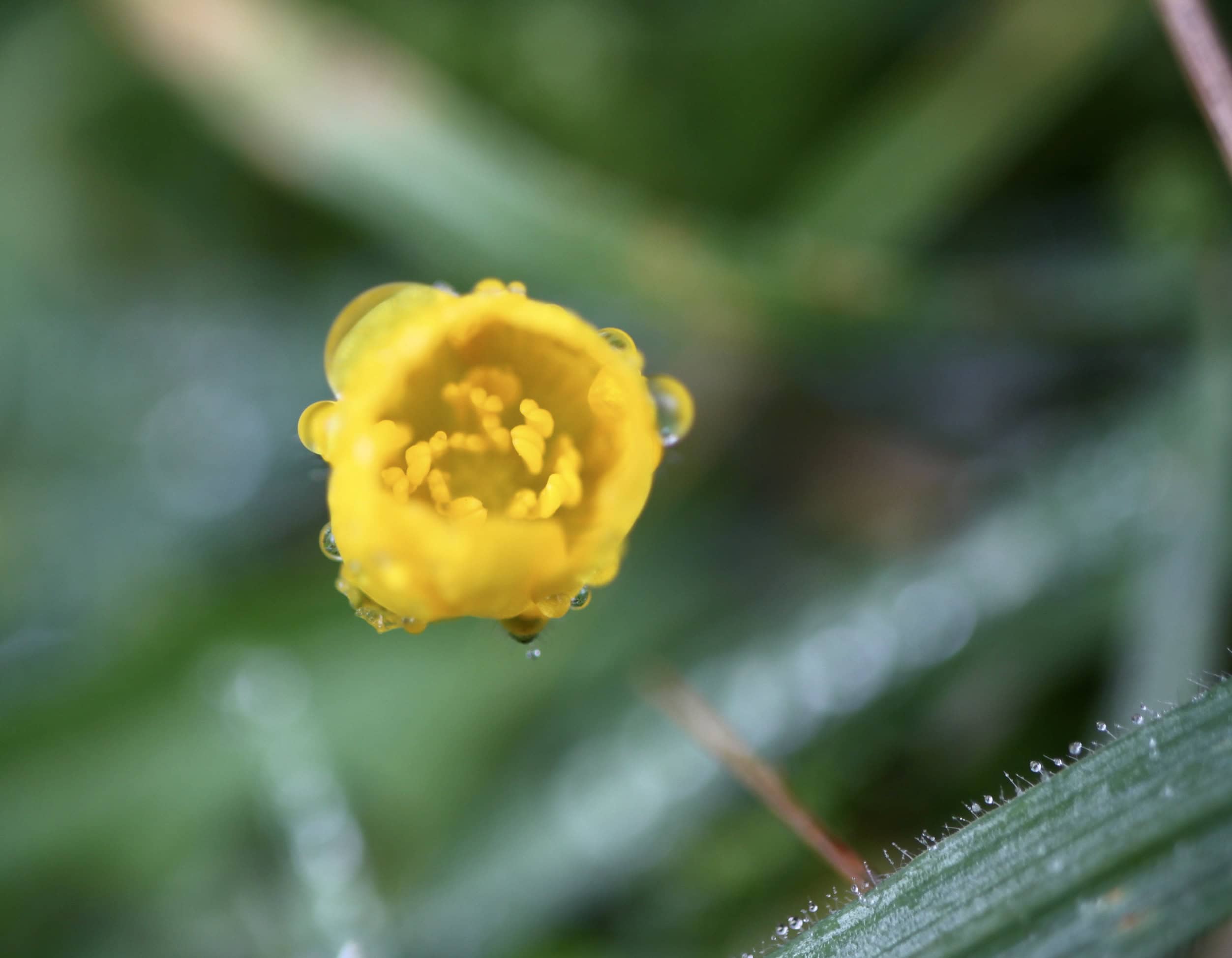 A Wee Splash — One Word Sunday