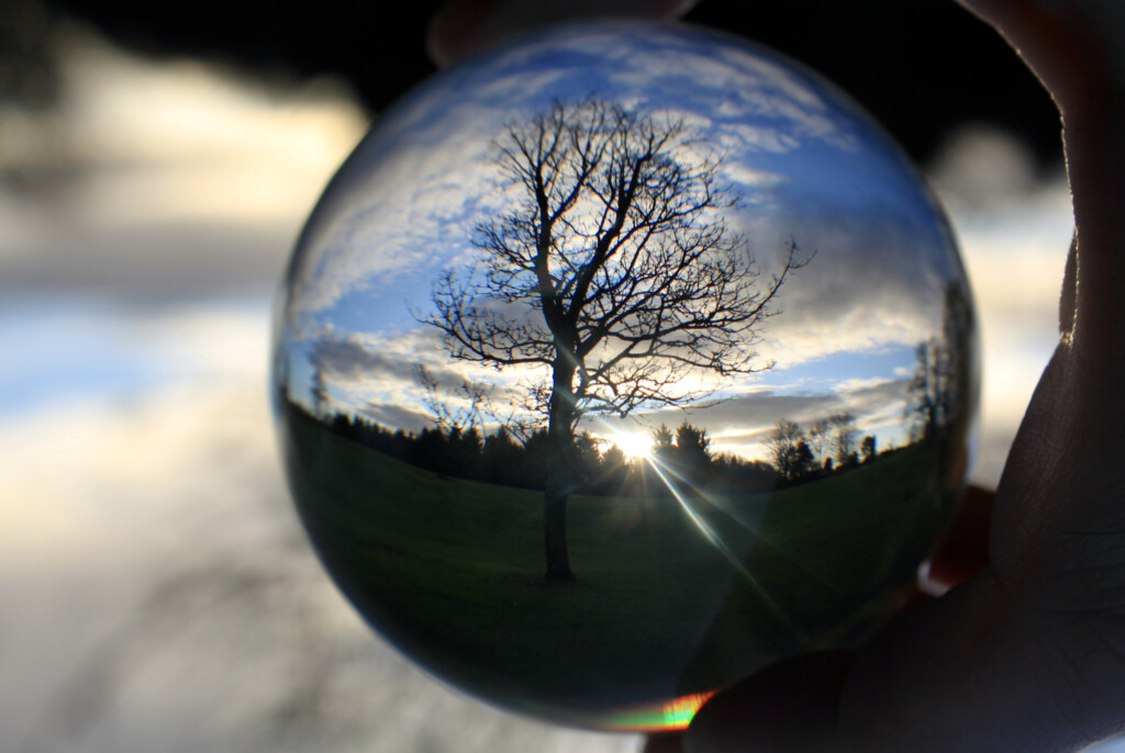 Tree in a lensball