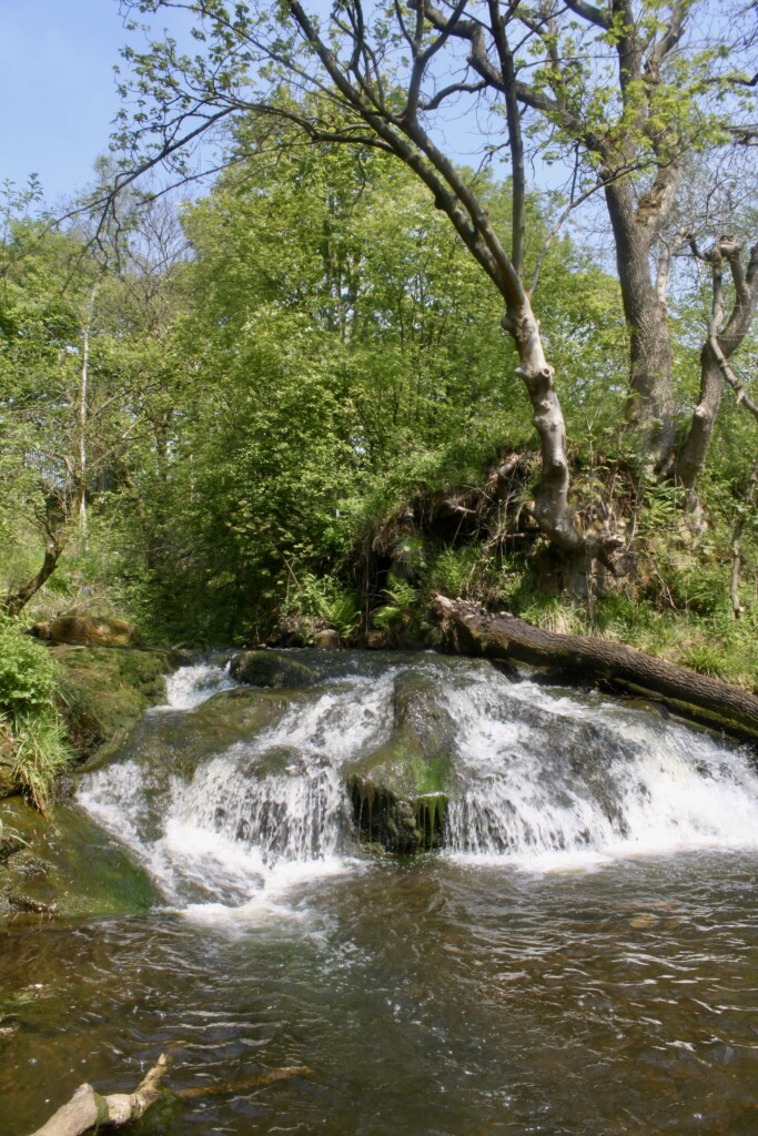 Wee waterfall on Luggie Water