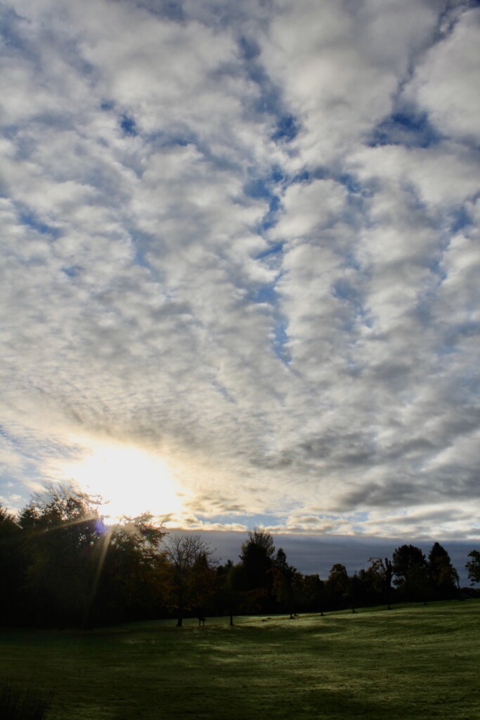 AltoCu over Cumbernauld House Park