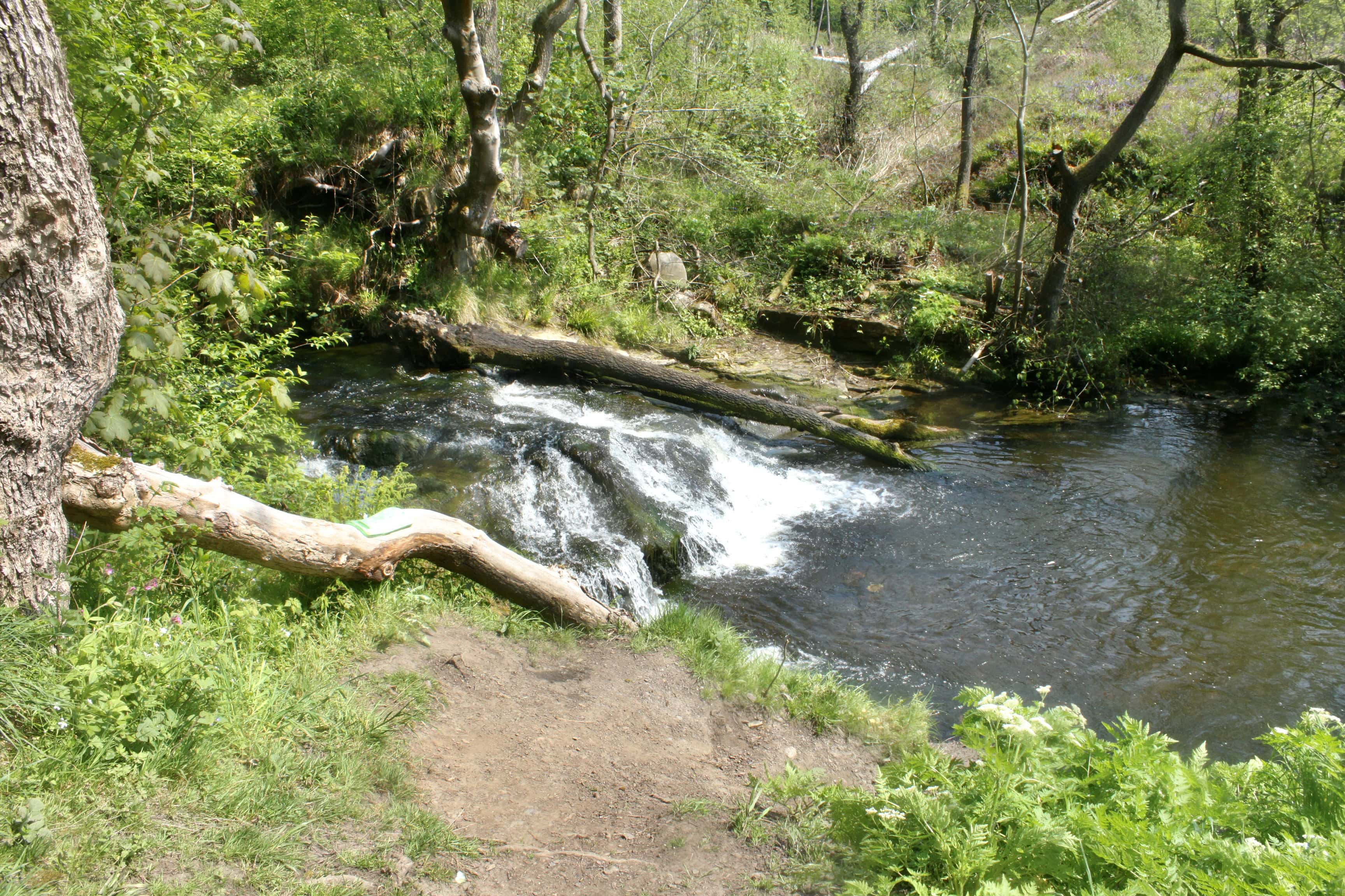 Luggie Water — Water Water Everywhere #53