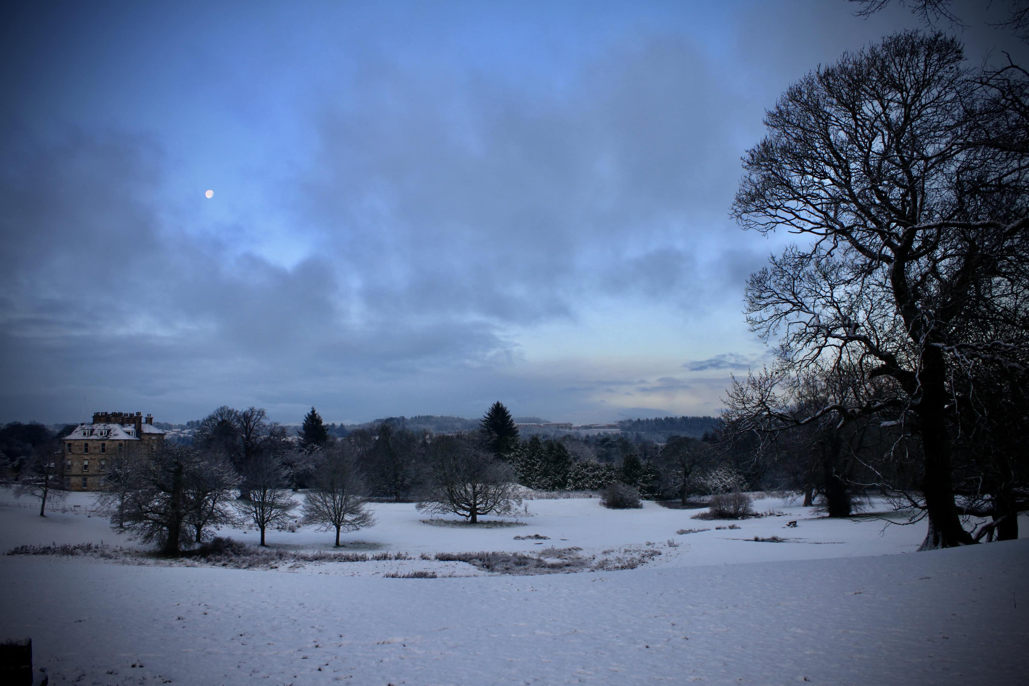 Silent Sunday Dec 06