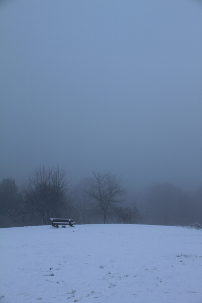 Foggy morning in Cumbernauld House Park