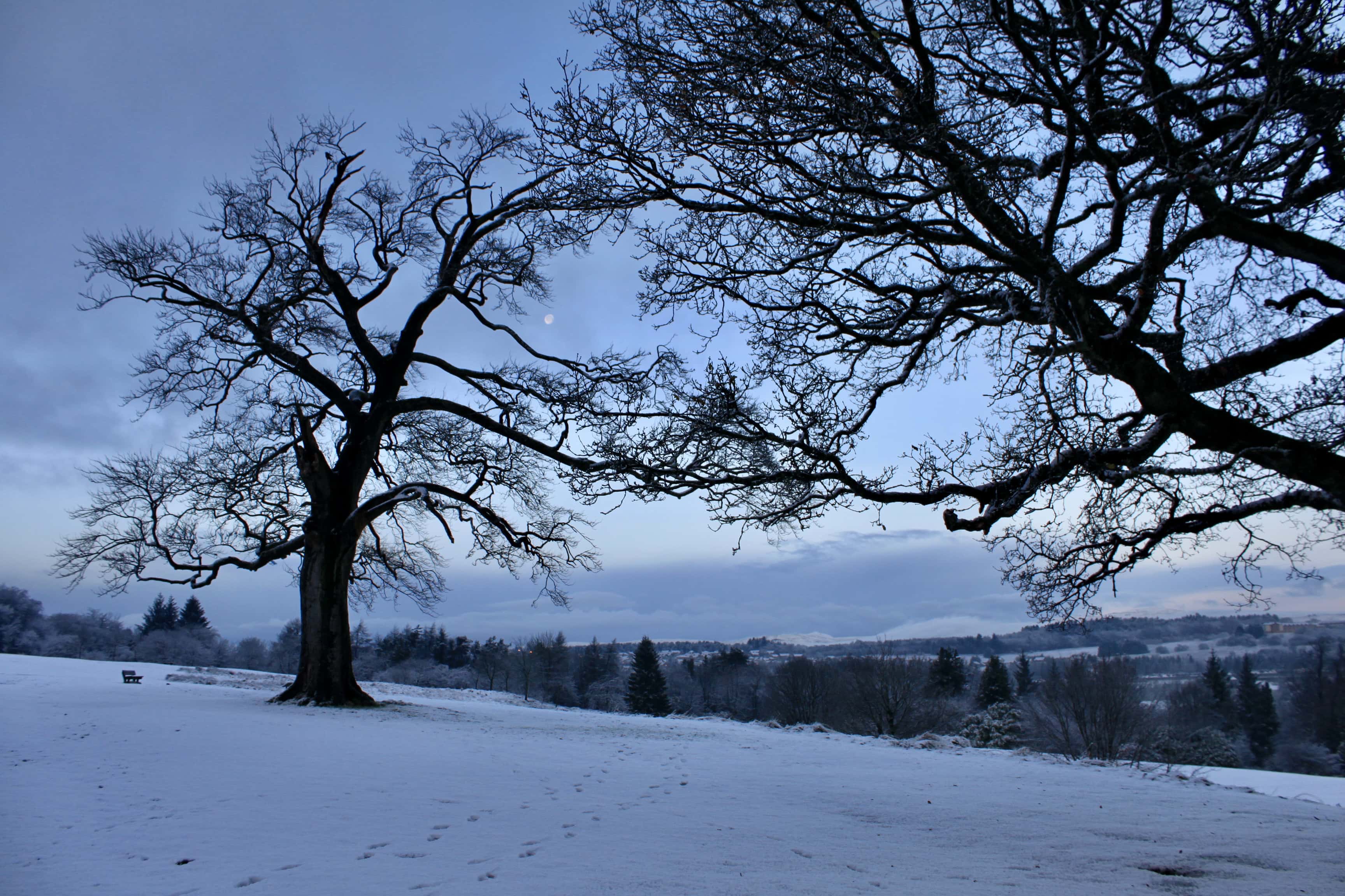 Wordless Wednesday Dec 09