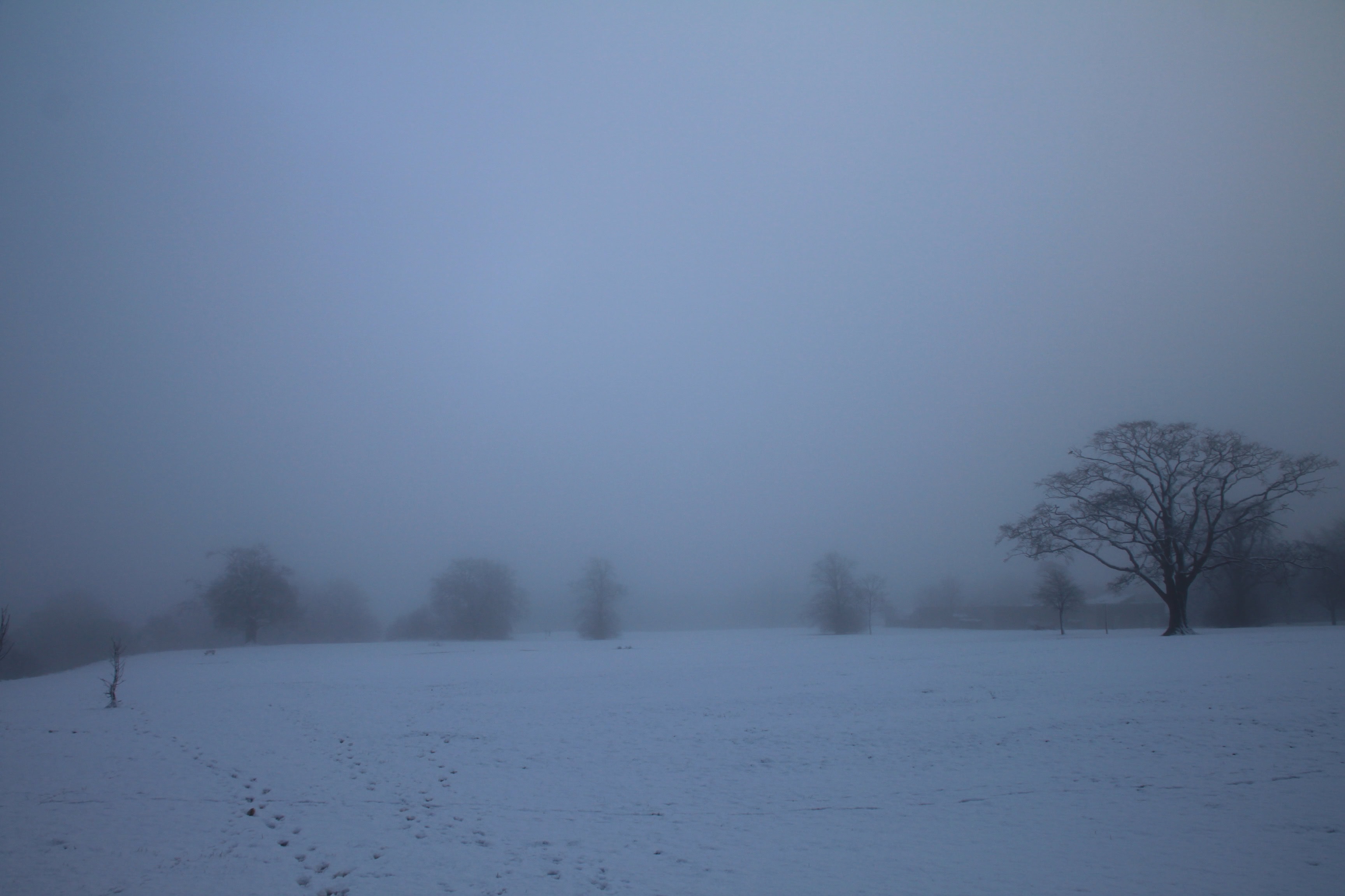 What Sky? — Weekend Sky #09 Dec 05