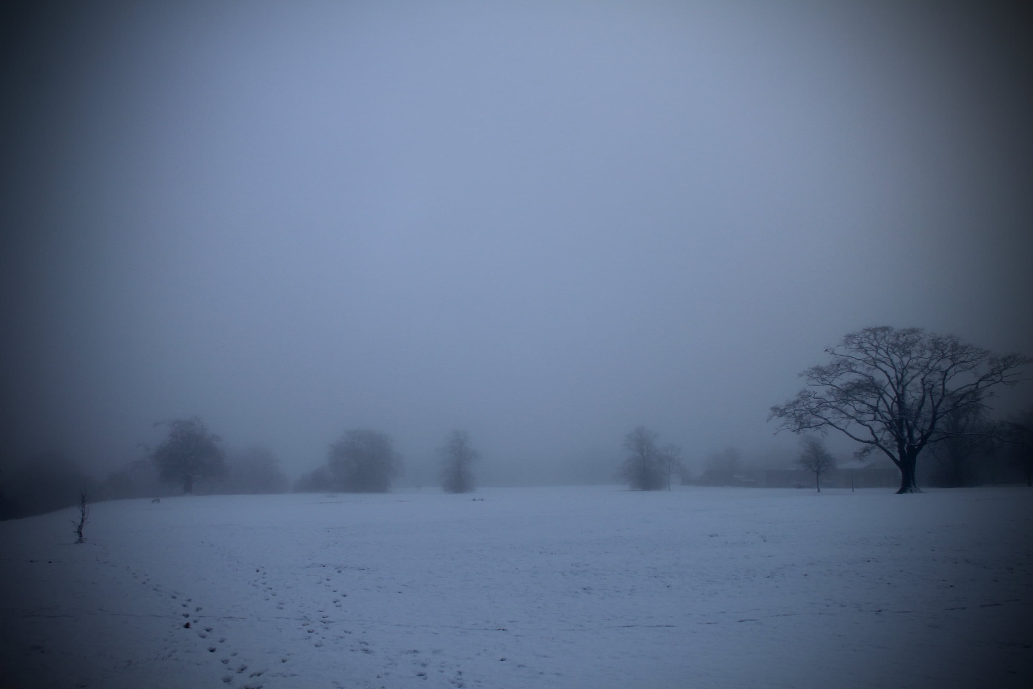 Slowly the Mist Rises, Enshrouding All
