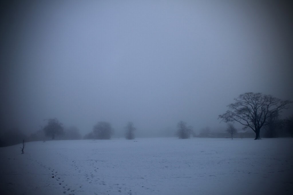 A foggy Cumbernauld House Park