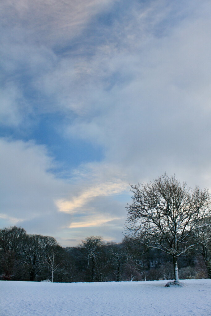 Cumbernauld House Park