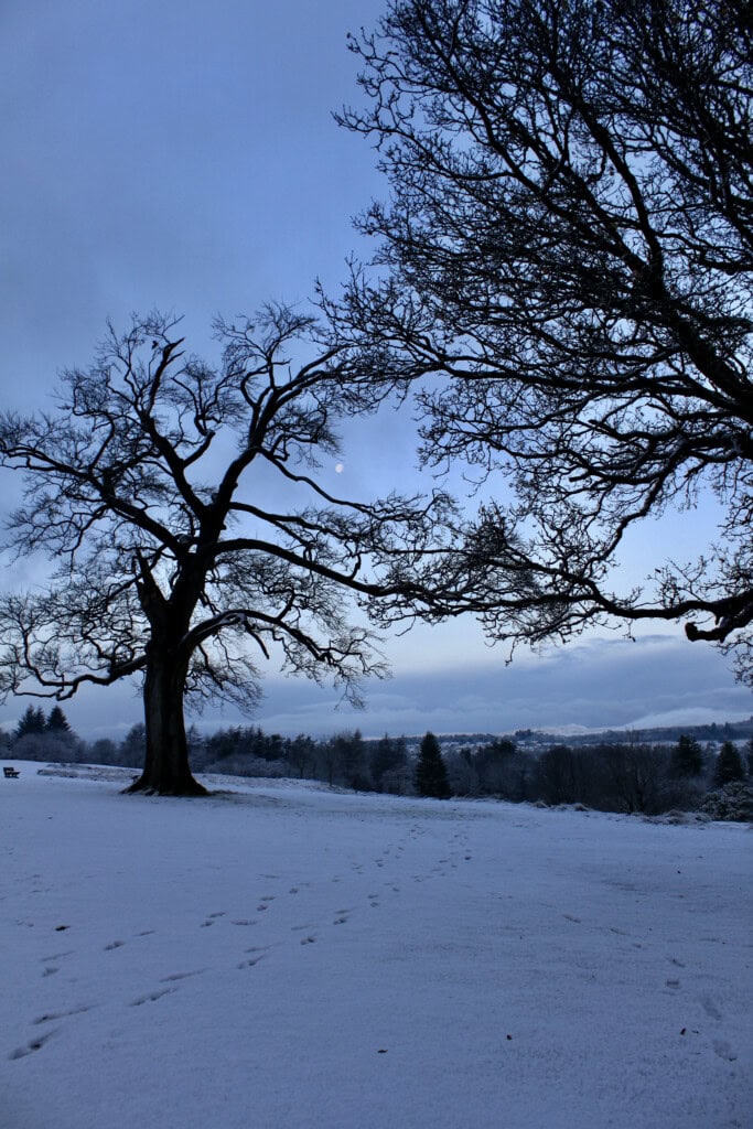 Cumbernauld House Park