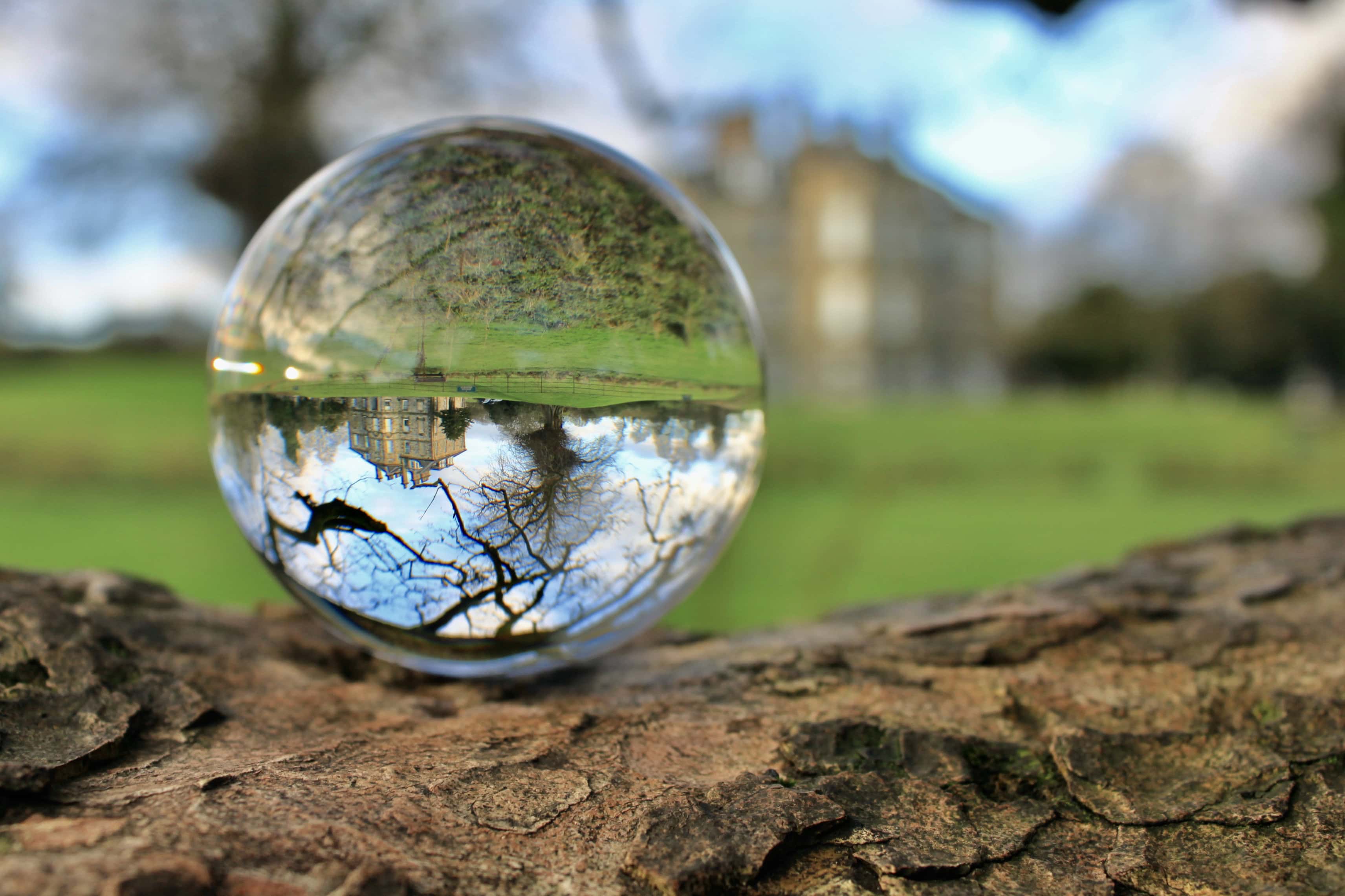 Wordless Wednesday Dec 30