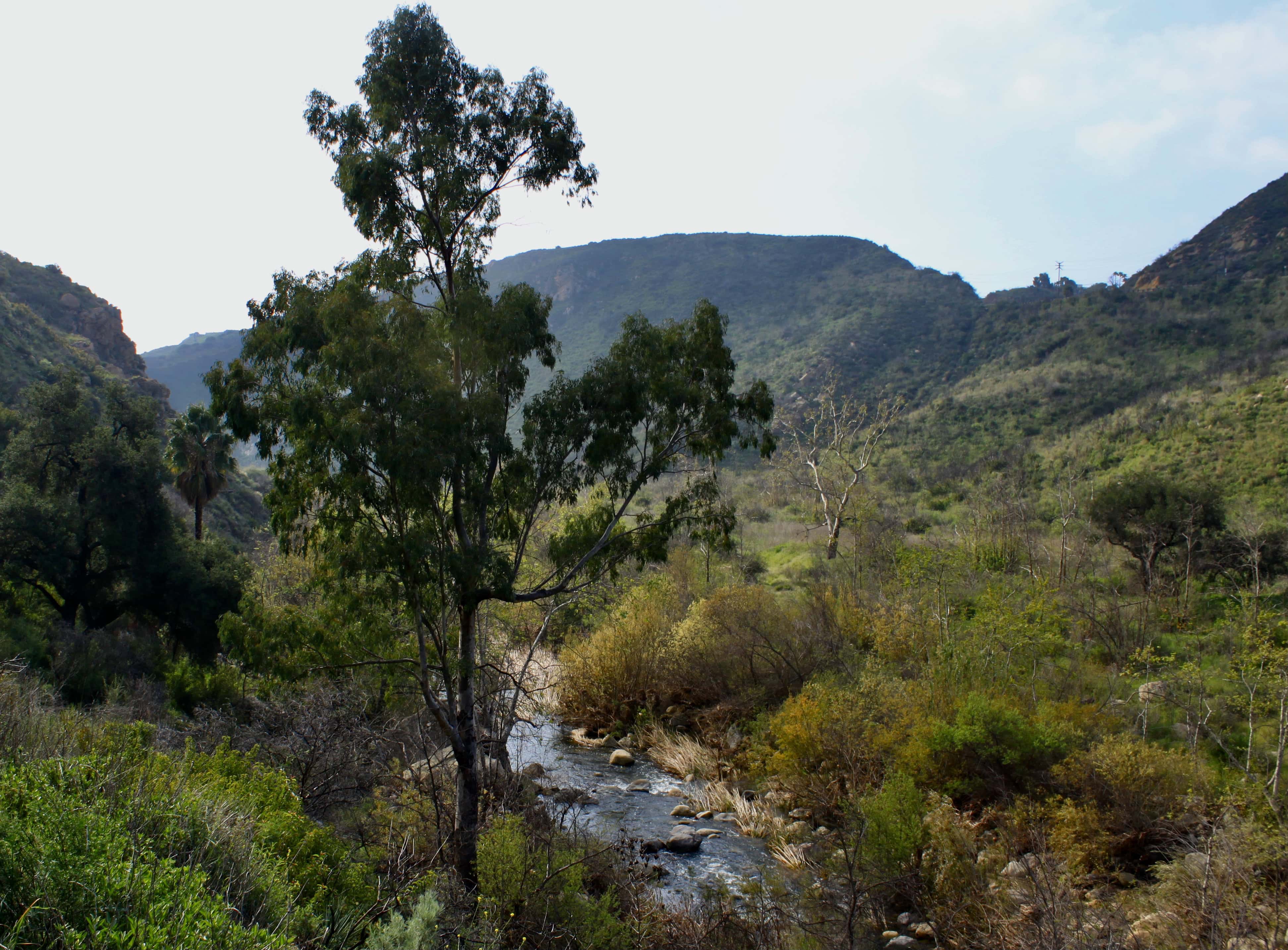 Malibu Creek — Water Water Everywhere #56