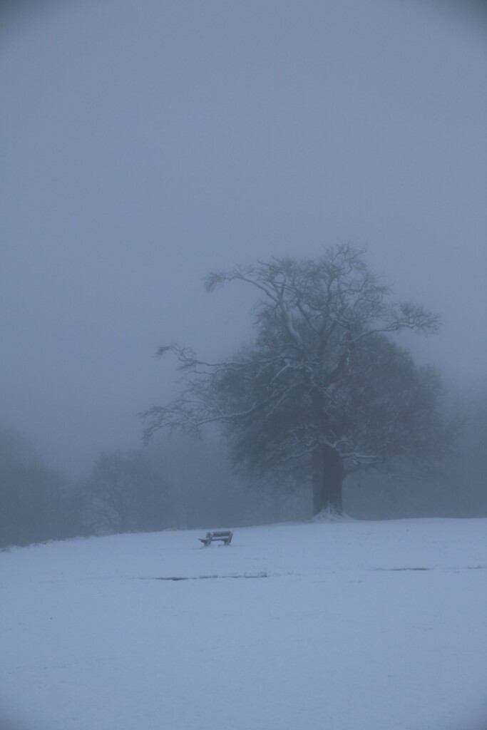 The mist descends