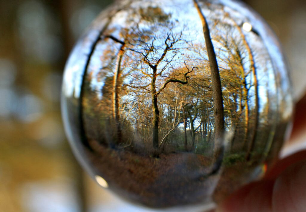 Sunlit trees through a lensball