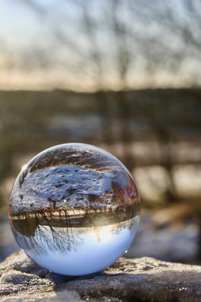 Snowy landscape