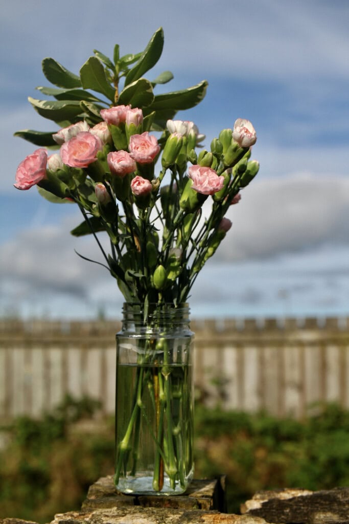 Coffee jar as a vase