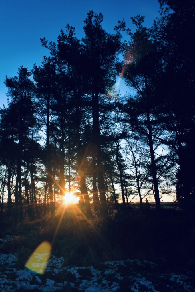 Sunrise at Palacerigg Country Park