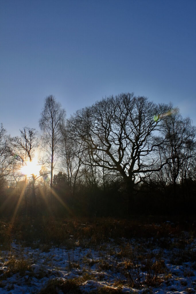 Palacerigg Country Park