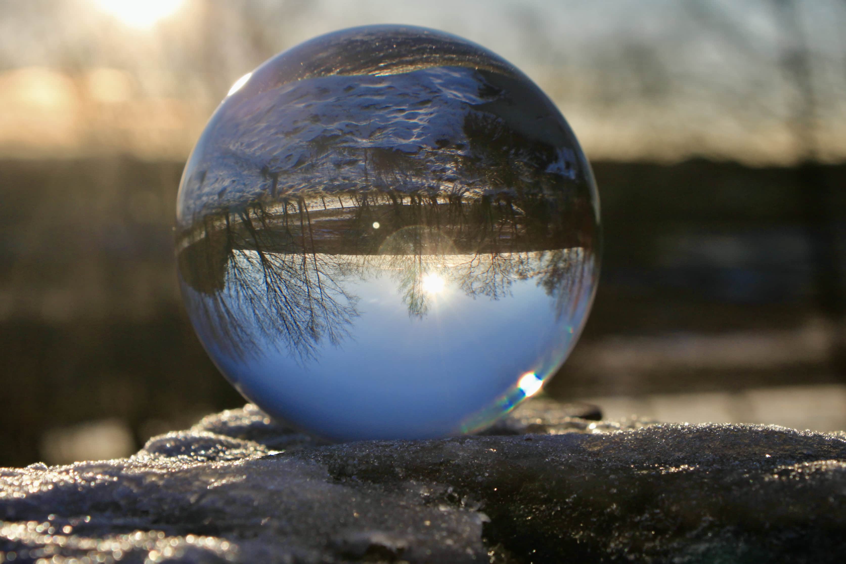 Wordless Wednesday Jan 06