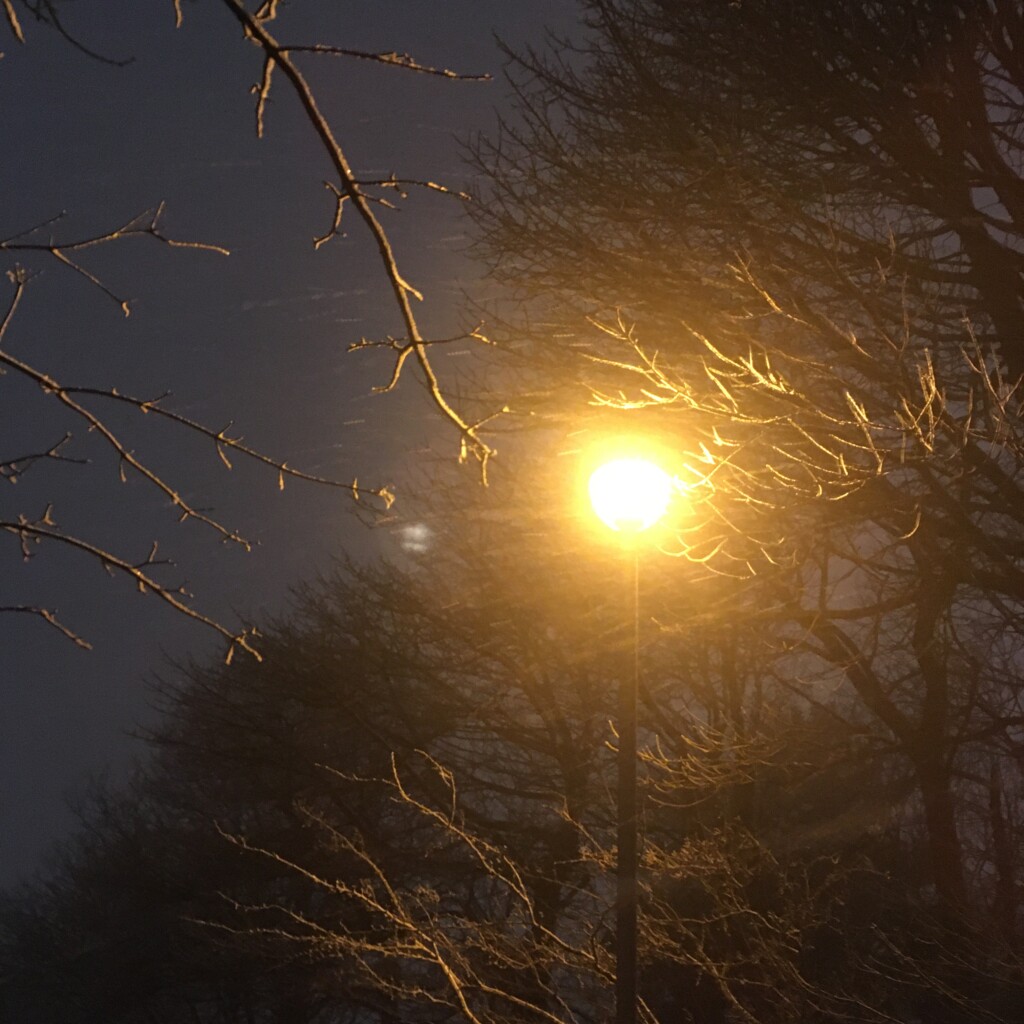 A snowy walk to work