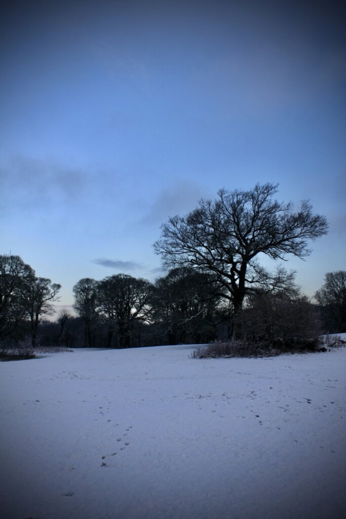 Cumbernauld House Park