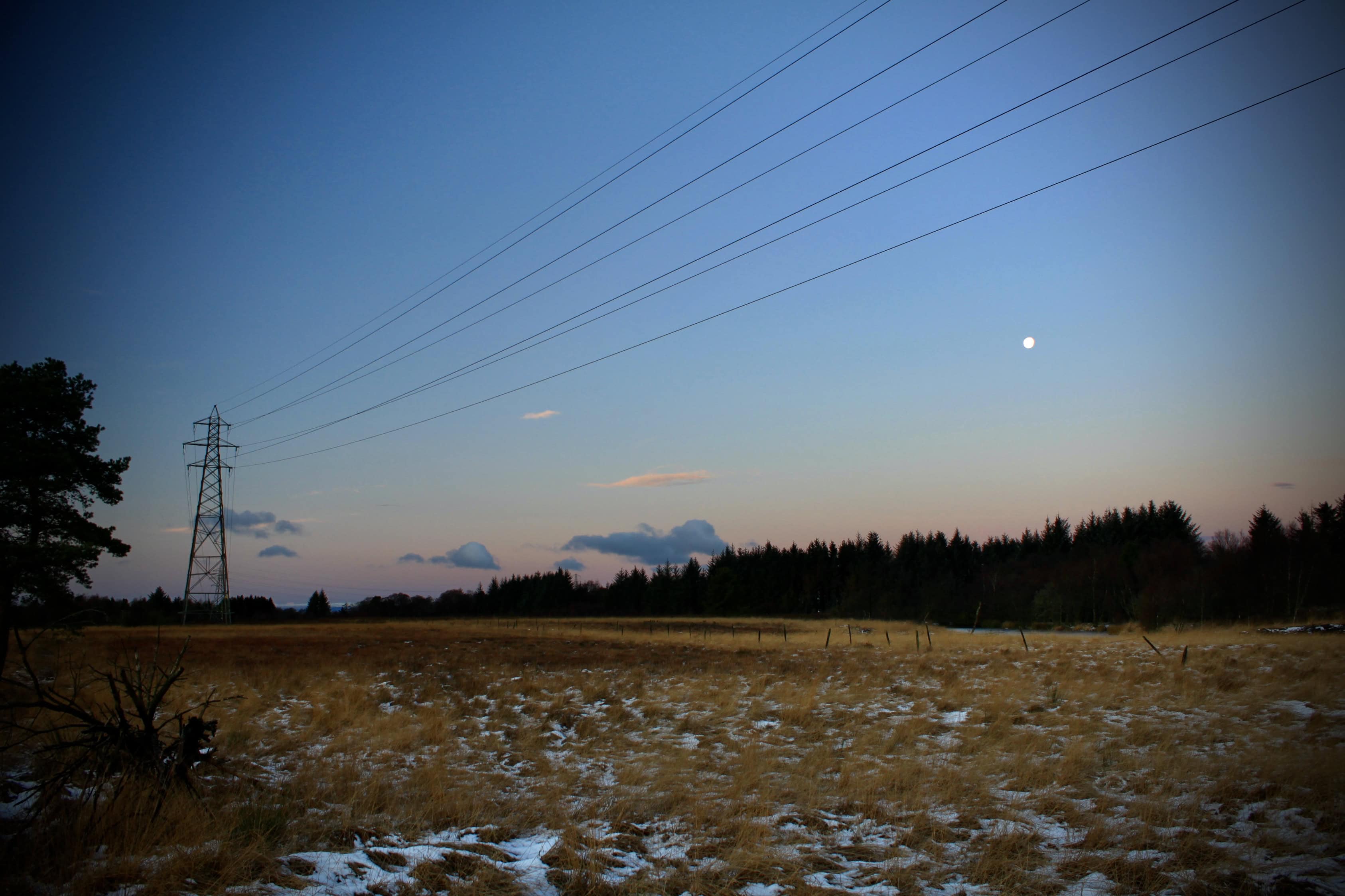Silent Sunday Feb 28