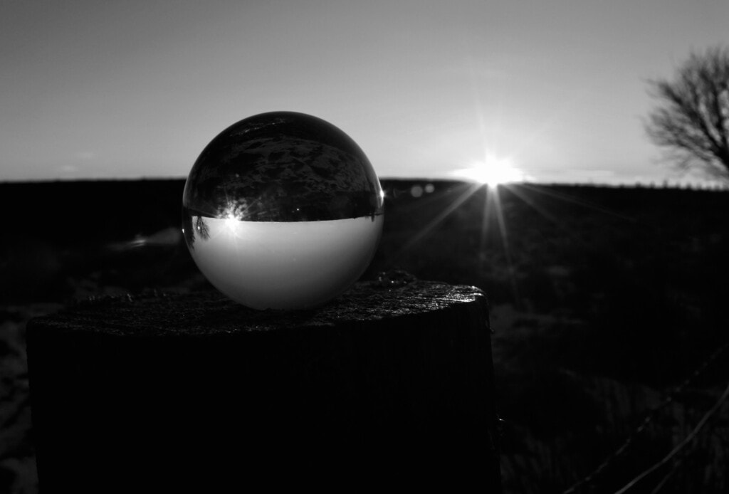 Mono
