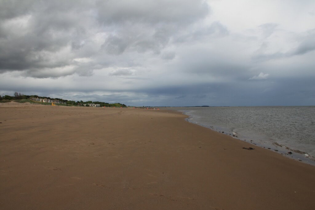 Sandy