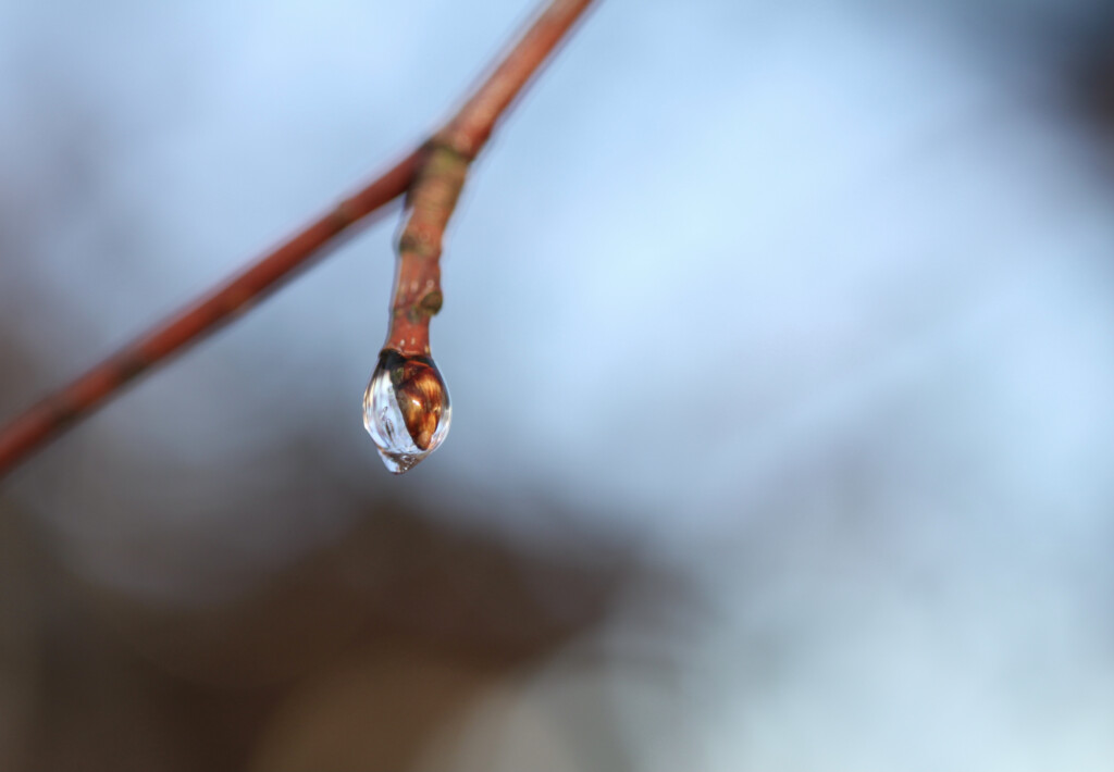 Frozen raindrop