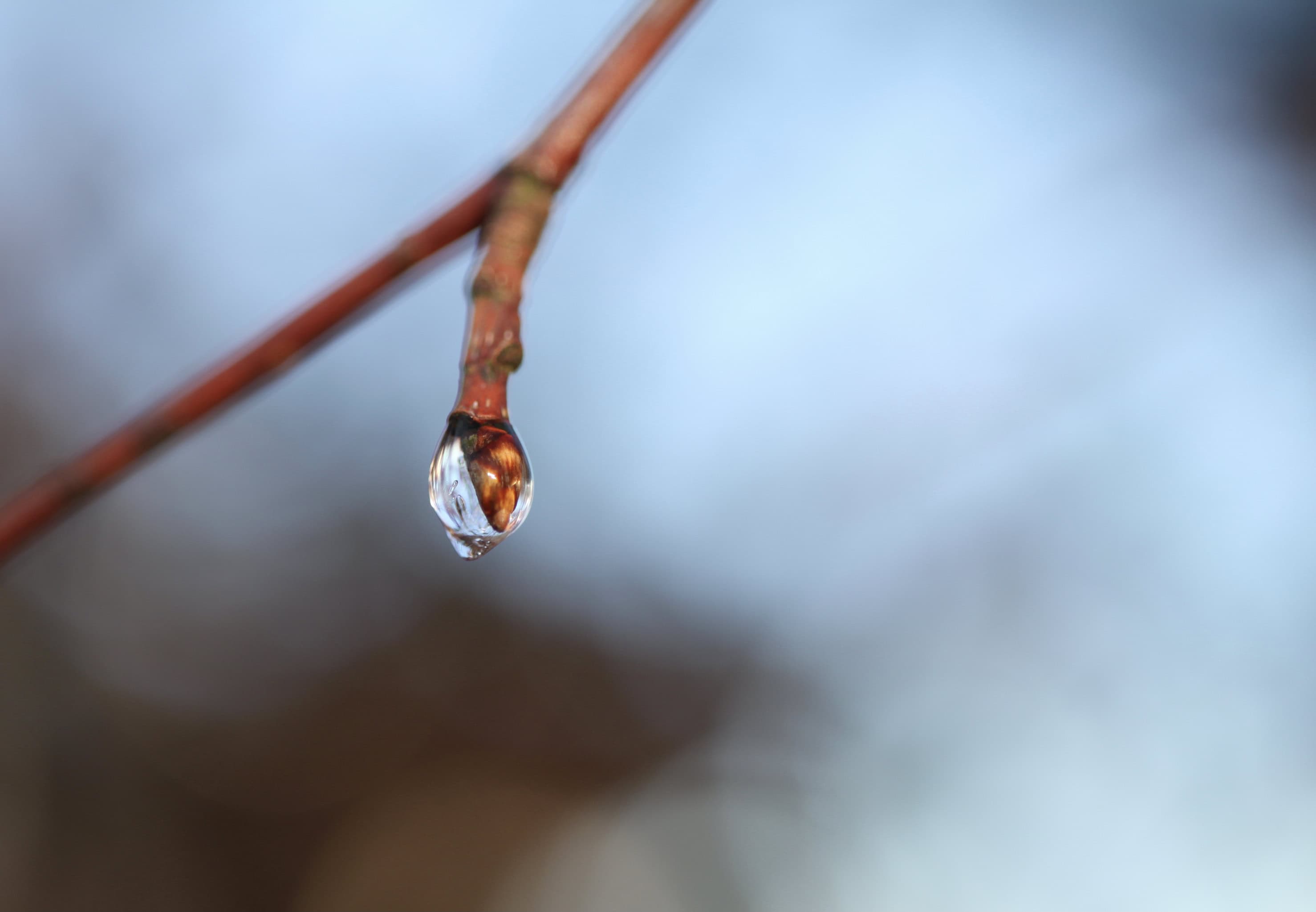 Melting — Water Water Everywhere #62