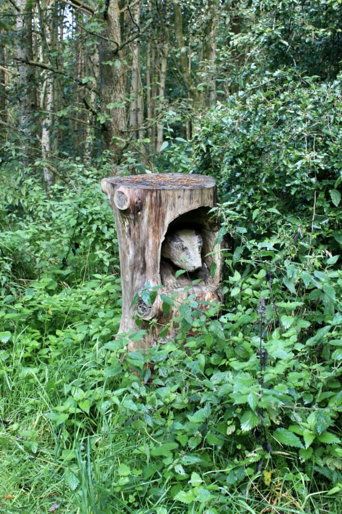 Badger sculpture