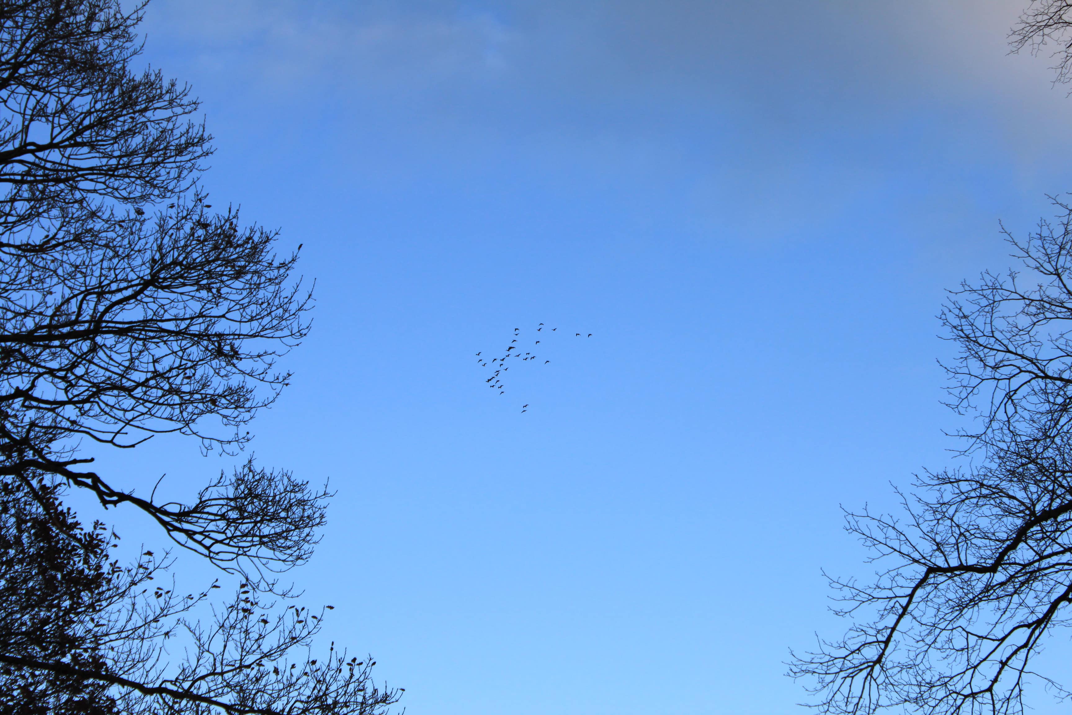 Flying High — Weekend Sky #18 Feb 27