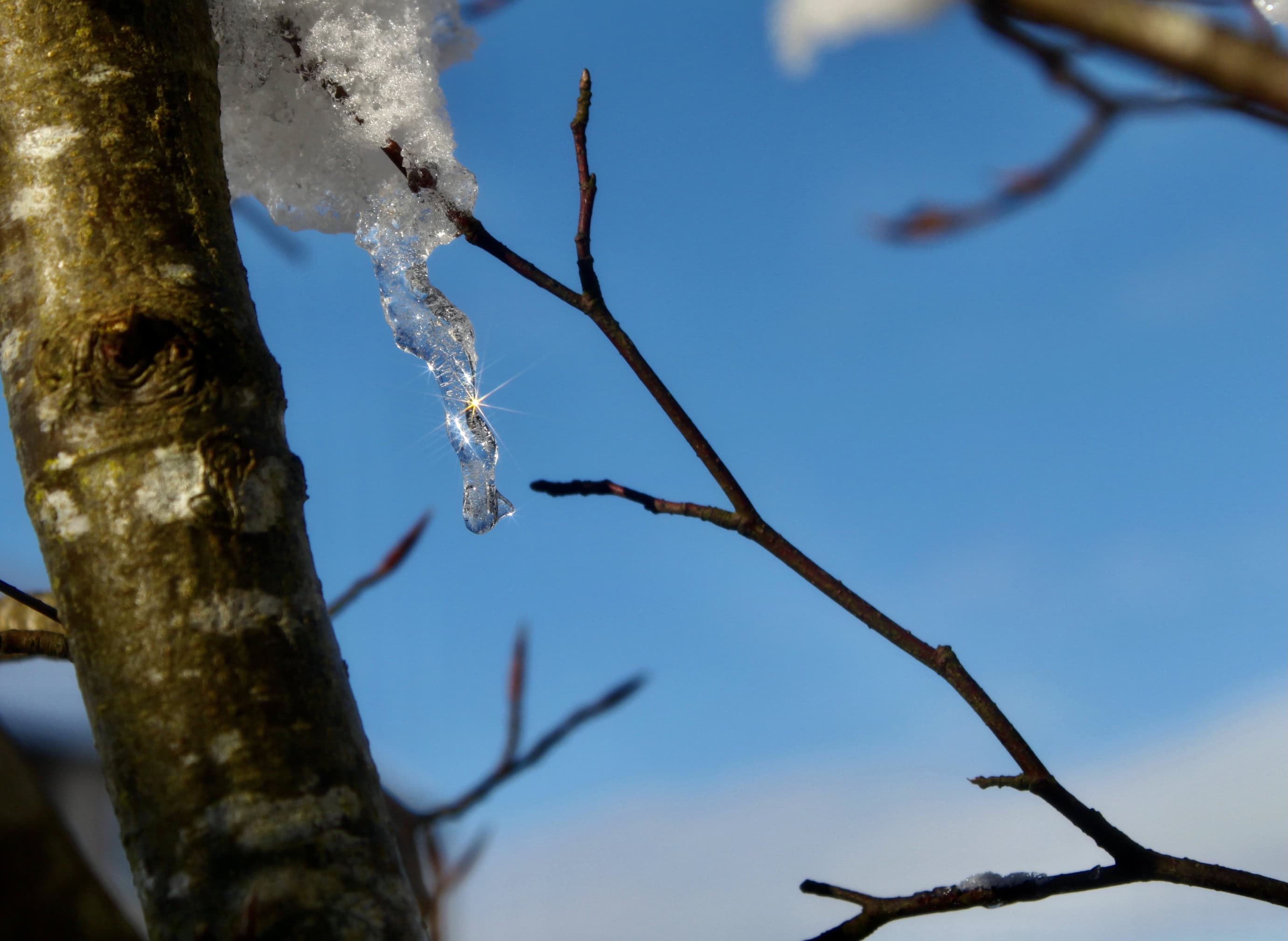 Icicles — Water Water Everywhere #64