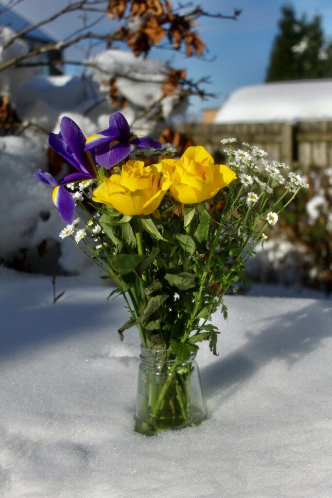 Spring posy