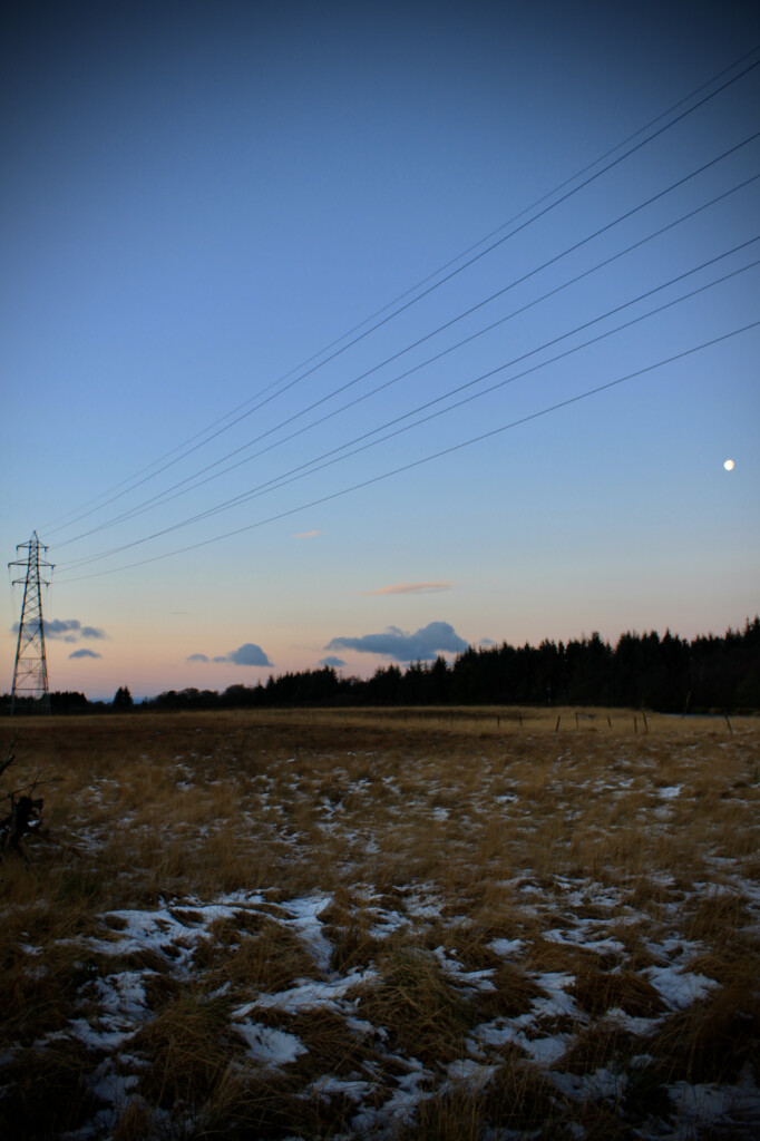 Palaceriig Country Park at dawn