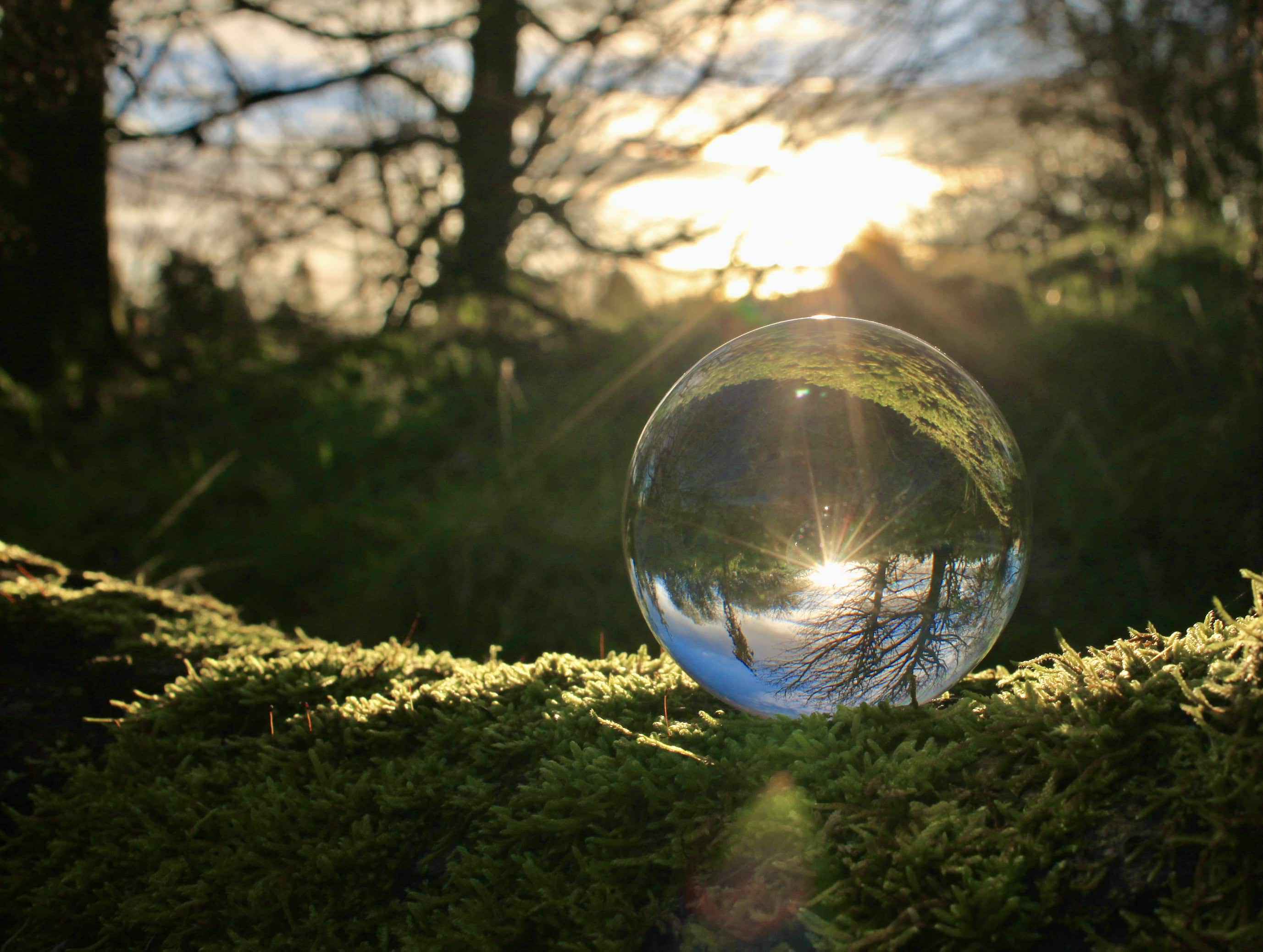 Did Someone Say Green? — Sunday Stills and Life in Colour