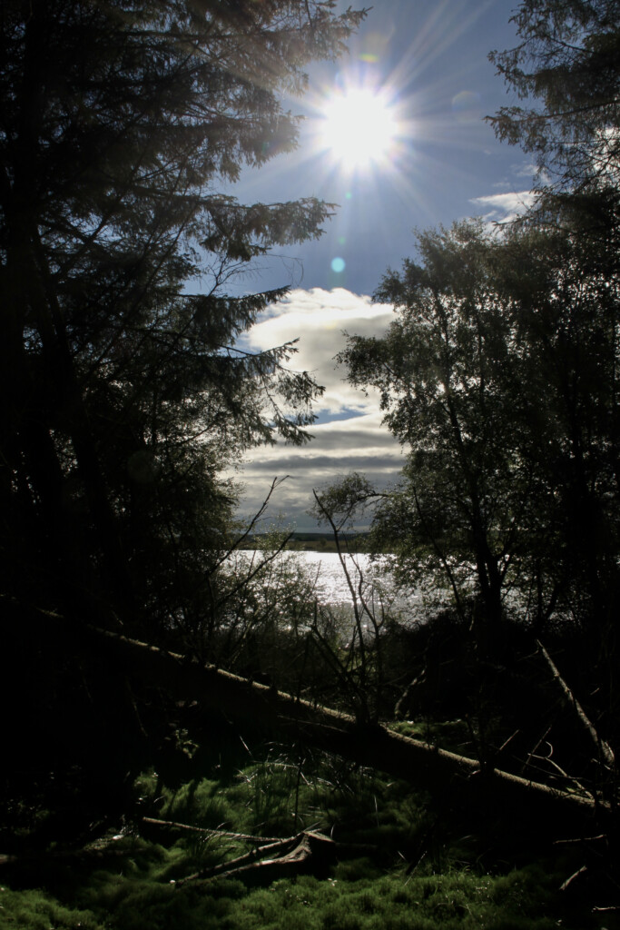 Sun flare