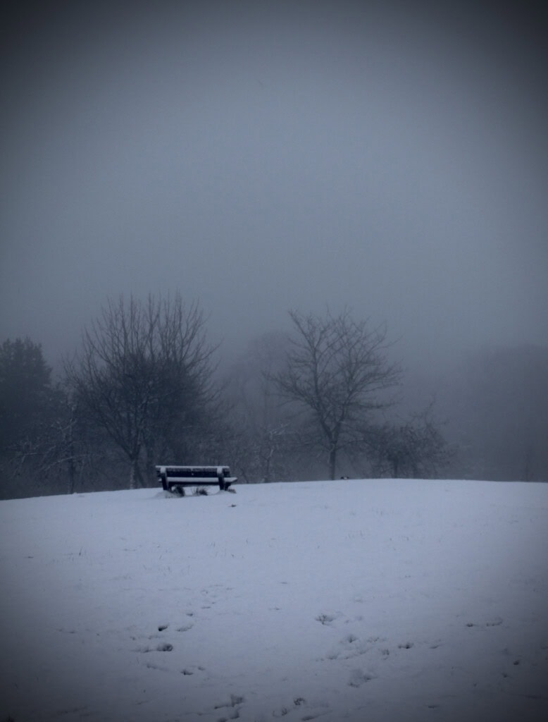A cold bench in the fog
