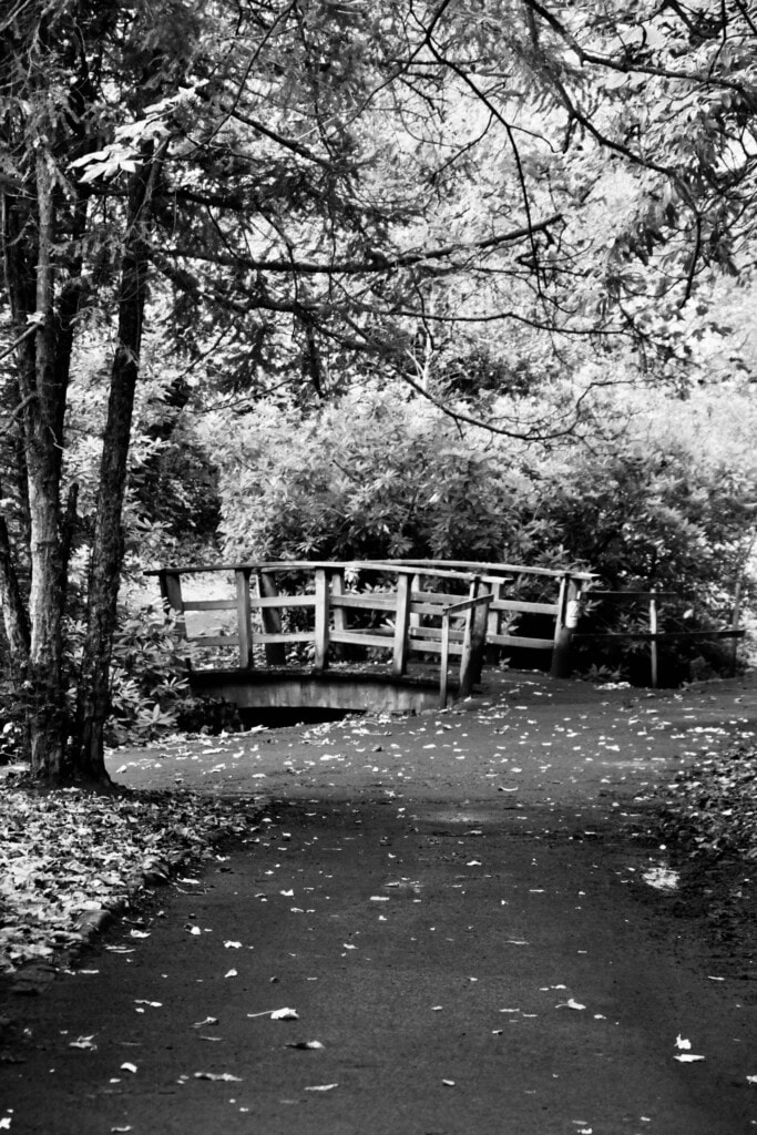 Footbridge in Pollock Country Park
