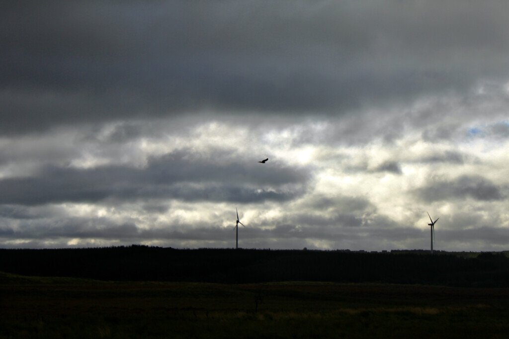 Dark clouds over Palacerigg Country Park