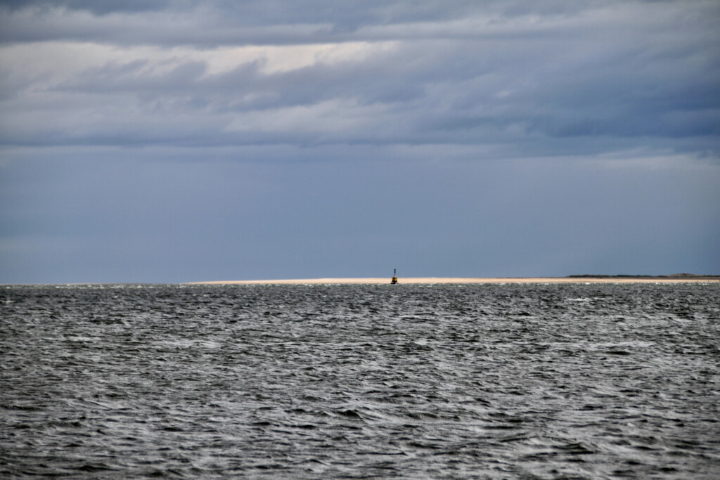 Southerly Cardinal Bouy, Firth of Tay